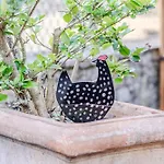 Gallo A Pois Διαμέρισμα *
