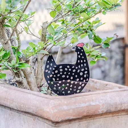 Gallo A Pois Appartement *